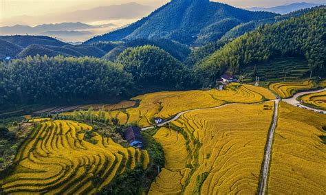 what irrigations systems are used in china agriculture
